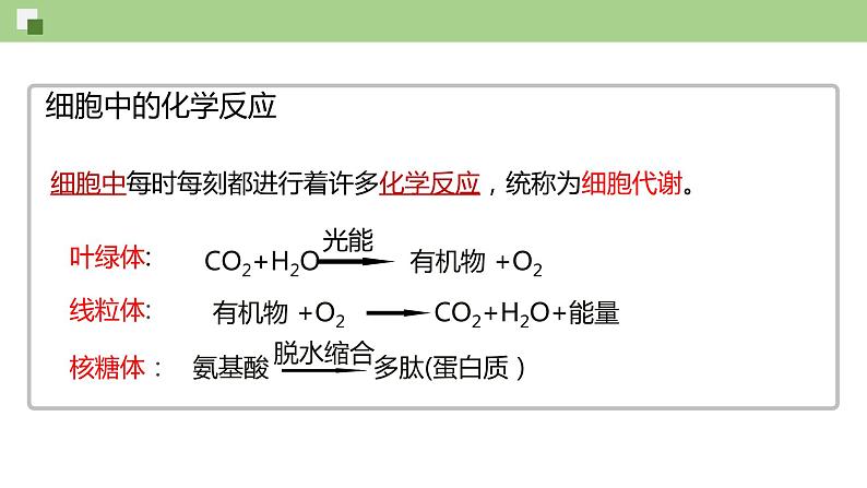 4.1.1 酶的作用和本质（课件）--2021-2022学年新教材北师大版高中生物必修1第5页