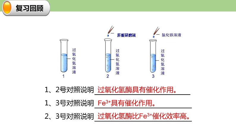 4.1.2 酶的特性--2021-2022学年新教材北师大版高中生物必修1课件+导学案+教学设计+练习02