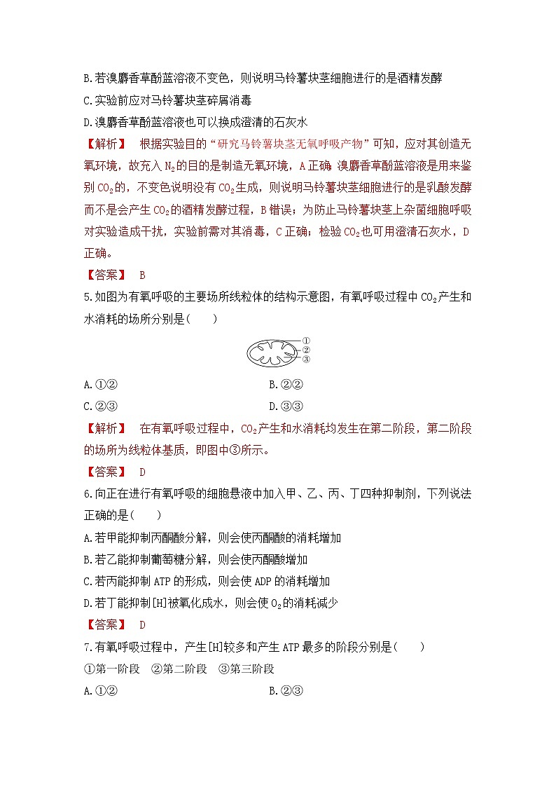 4.3.1 细胞呼吸的类型和过程--2021-2022学年新教材北师大版高中生物必修1课件+导学案+教学设计+练习02