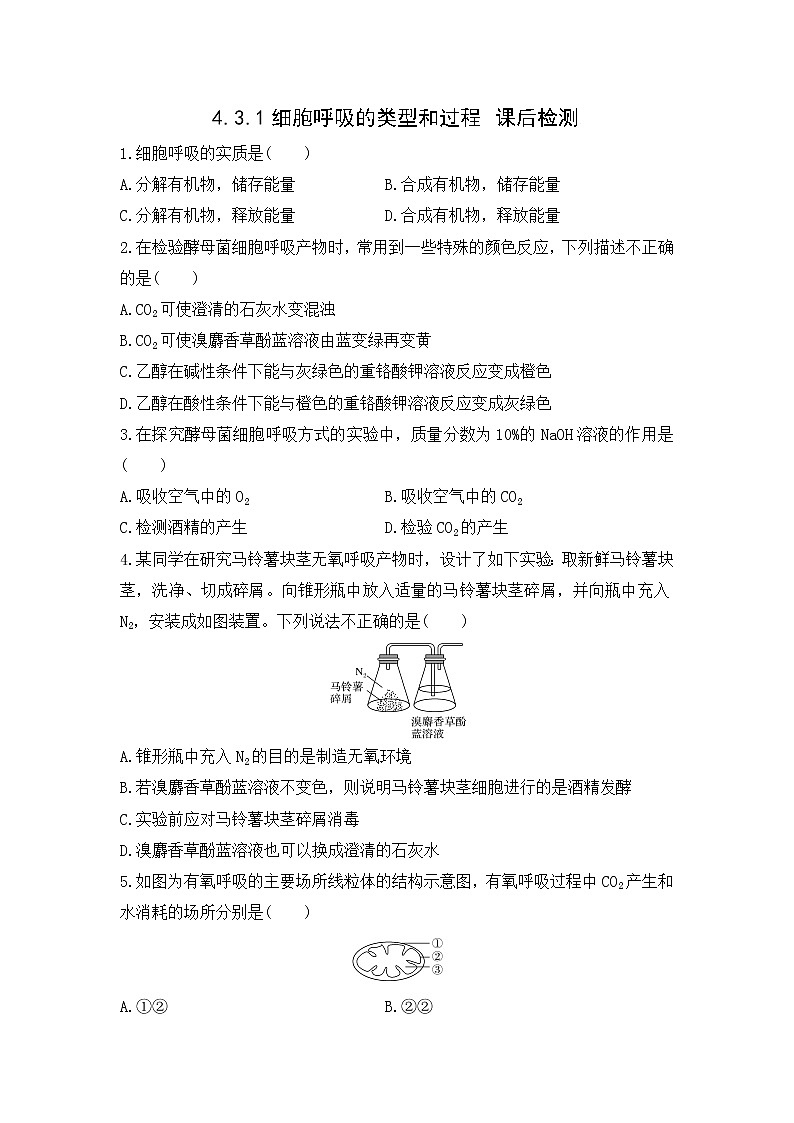 4.3.1 细胞呼吸的类型和过程--2021-2022学年新教材北师大版高中生物必修1课件+导学案+教学设计+练习01