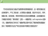 4.3.1 细胞呼吸的类型和过程--2021-2022学年新教材北师大版高中生物必修1课件+导学案+教学设计+练习