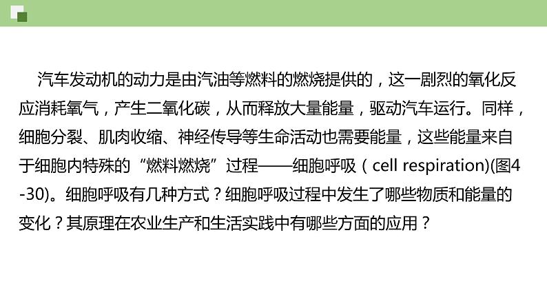 4.3.1 细胞呼吸的类型和过程--2021-2022学年新教材北师大版高中生物必修1课件+导学案+教学设计+练习03