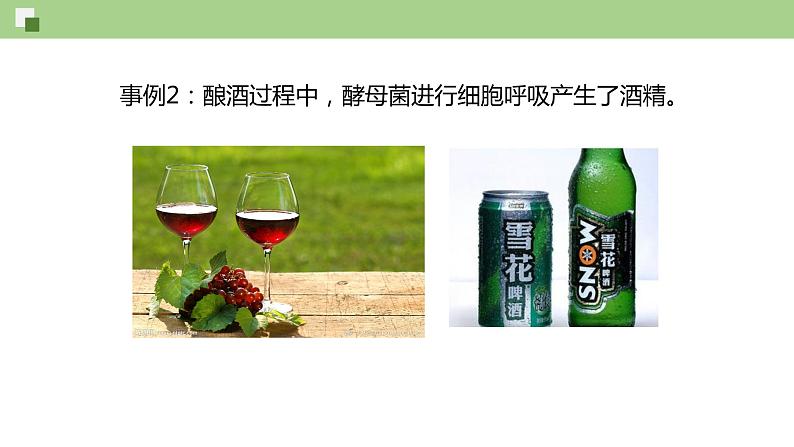 4.3.1 细胞呼吸的类型和过程--2021-2022学年新教材北师大版高中生物必修1课件+导学案+教学设计+练习08