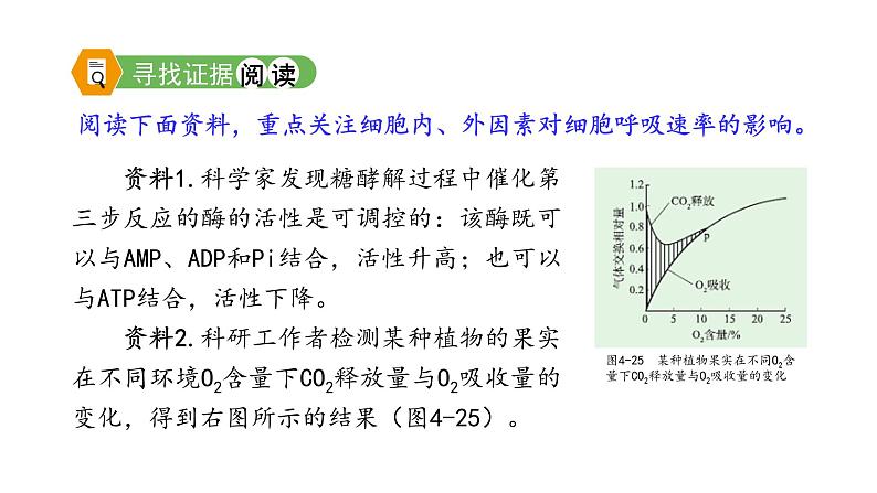 4.3.2 影响细胞呼吸的因素（课件）--2021-2022学年新教材北师大版高中生物必修1第3页