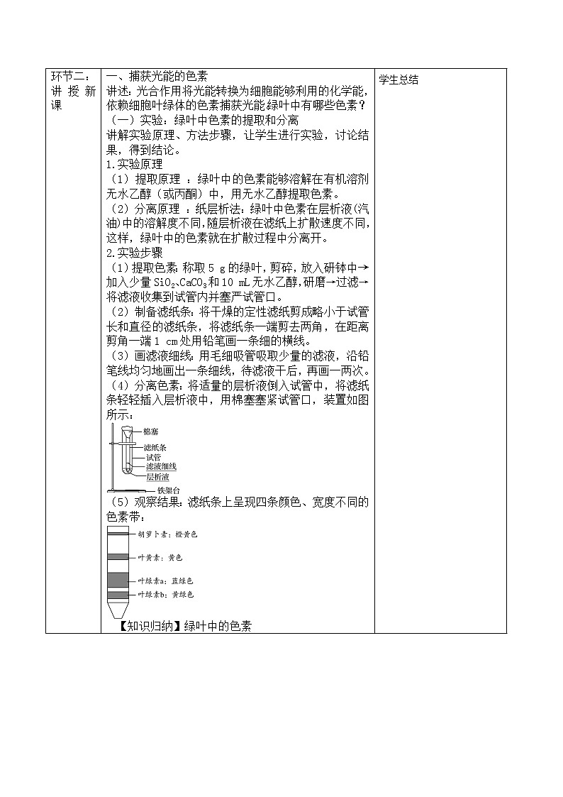 4.4.1 叶绿体通过光合色素捕获光能（教学设计）--2021-2022学年新教材北师大版高中生物必修1第2页