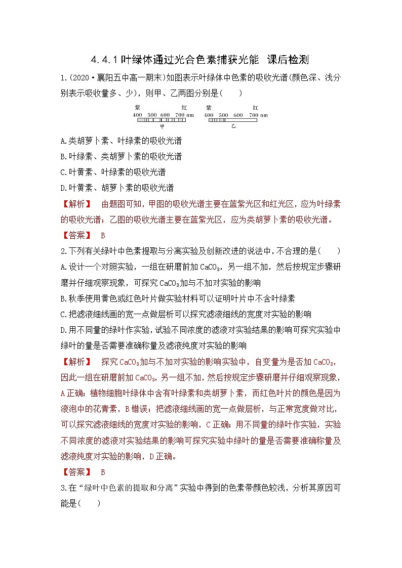 4.4.1 叶绿体通过光合色素捕获光能（练习）（解析版）第1页