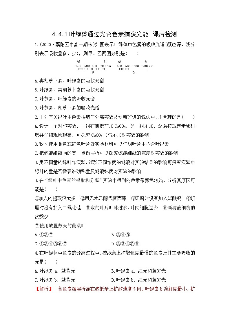4.4.1 叶绿体通过光合色素捕获光能（练习）（原卷版）第1页