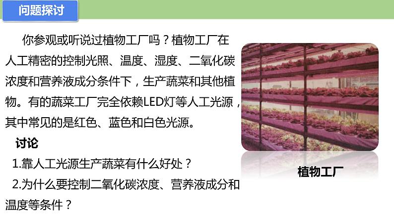 4.4.1 叶绿体通过光合色素捕获光能（课件）--2021-2022学年新教材北师大版高中生物必修1第2页