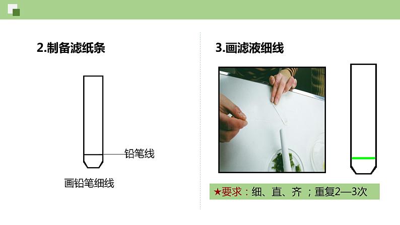 4.4.1 叶绿体通过光合色素捕获光能（课件）--2021-2022学年新教材北师大版高中生物必修1第8页