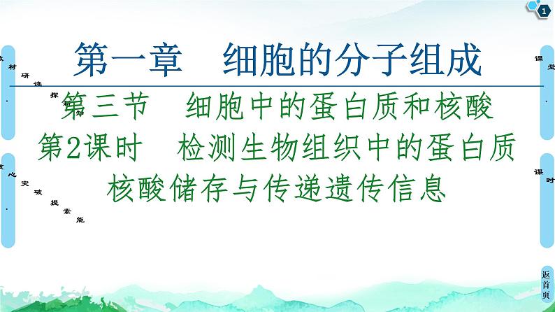 2021-2022学年苏教版（2019）高中生物 必修1 第1章 第3节　细胞中的蛋白质和核酸课件+课时练01