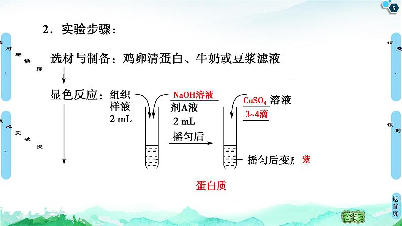 2021-2022学年苏教版（2019）高中生物 必修1 第1章 第3节　细胞中的蛋白质和核酸课件+课时练05