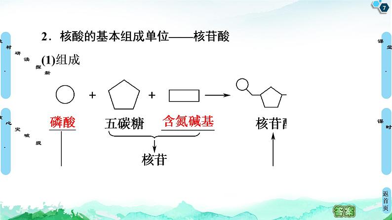 2021-2022学年苏教版（2019）高中生物 必修1 第1章 第3节　细胞中的蛋白质和核酸课件+课时练07