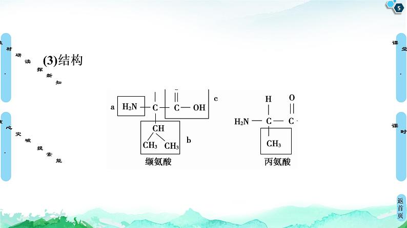 2021-2022学年苏教版（2019）高中生物 必修1 第1章 第3节　细胞中的蛋白质和核酸课件+课时练05
