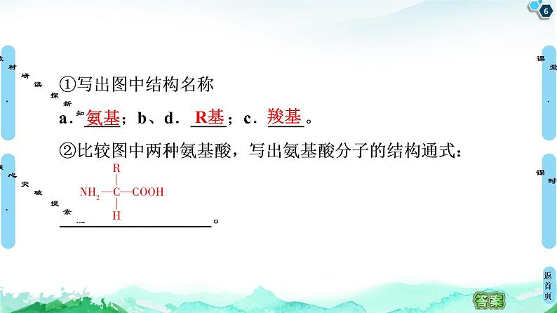 2021-2022学年苏教版（2019）高中生物 必修1 第1章 第3节　细胞中的蛋白质和核酸课件+课时练06