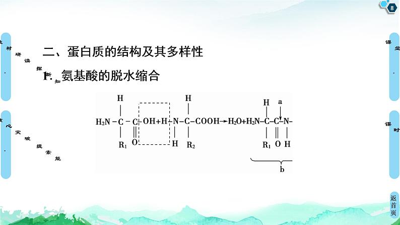 2021-2022学年苏教版（2019）高中生物 必修1 第1章 第3节　细胞中的蛋白质和核酸课件+课时练08