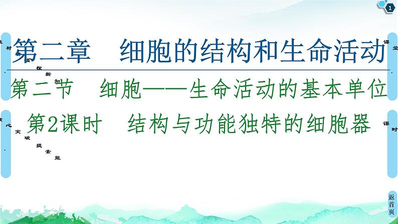 2021-2022学年苏教版（2019）高中生物 必修1 第2章 第2节　细胞——生命活动的基本单位课件+课时练01