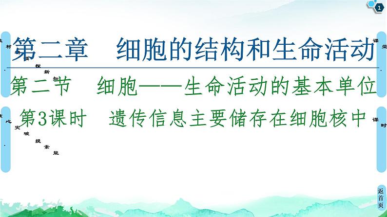 2021-2022学年苏教版（2019）高中生物 必修1 第2章 第2节　细胞——生命活动的基本单位课件+课时练01