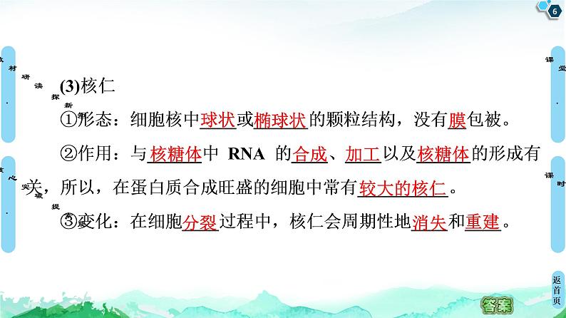 2021-2022学年苏教版（2019）高中生物 必修1 第2章 第2节　细胞——生命活动的基本单位课件+课时练06