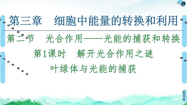 2021-2022学年苏教版（2019）高中生物 必修1 第3章 第2节　光合作用——光能的捕获和转换课件+课时练01