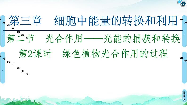 2021-2022学年苏教版（2019）高中生物 必修1 第3章 第2节　光合作用——光能的捕获和转换课件+课时练01