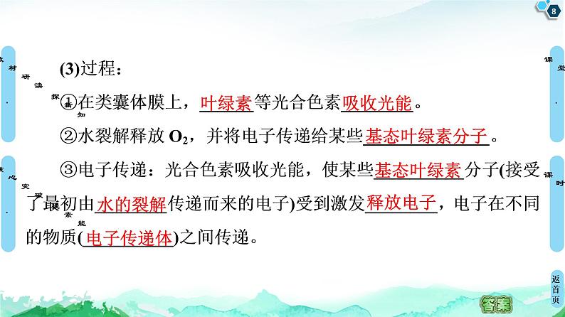 2021-2022学年苏教版（2019）高中生物 必修1 第3章 第2节　光合作用——光能的捕获和转换课件+课时练08