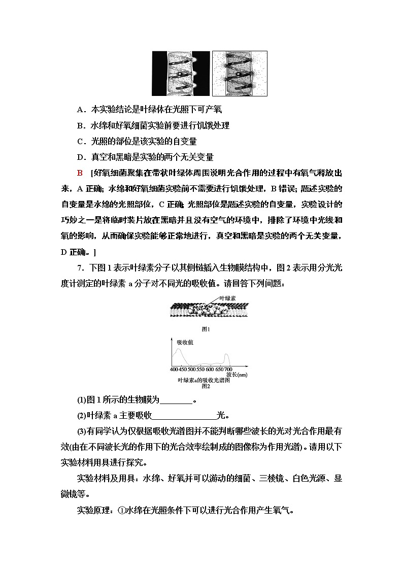 2021-2022学年苏教版（2019）高中生物 必修1 第3章 第2节　光合作用——光能的捕获和转换课件+课时练03