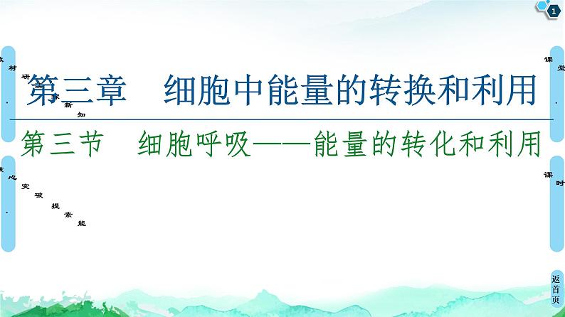 2021-2022学年苏教版（2019）高中生物 必修1 第3章 第3节　细胞呼吸——能量的转化和利用课件+课时练01