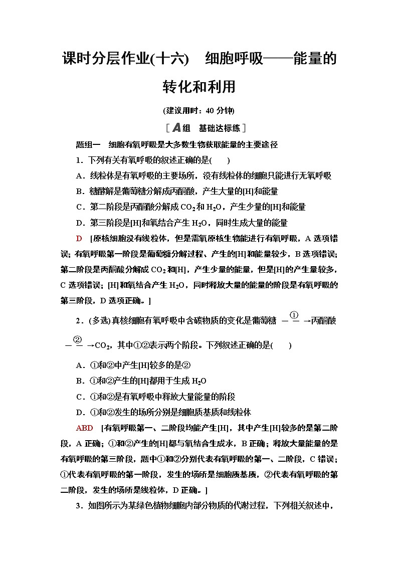 2021-2022学年苏教版（2019）高中生物 必修1 第3章 第3节　细胞呼吸——能量的转化和利用课件+课时练01