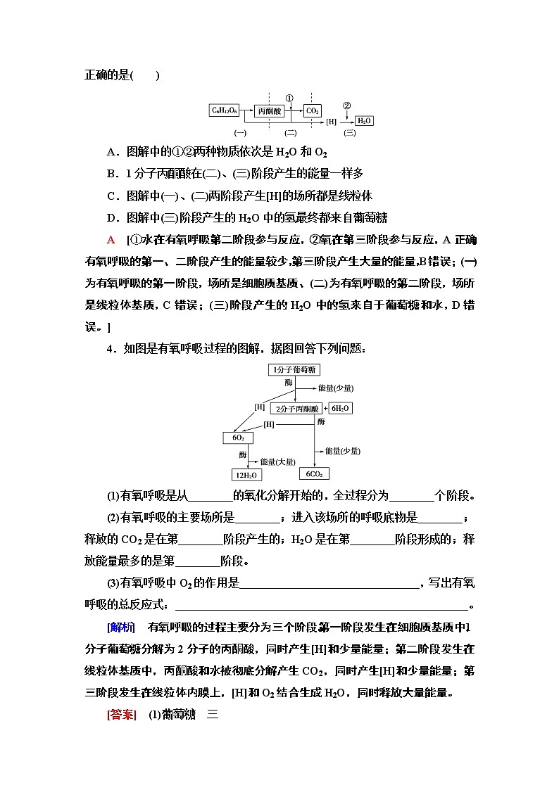 2021-2022学年苏教版（2019）高中生物 必修1 第3章 第3节　细胞呼吸——能量的转化和利用课件+课时练02
