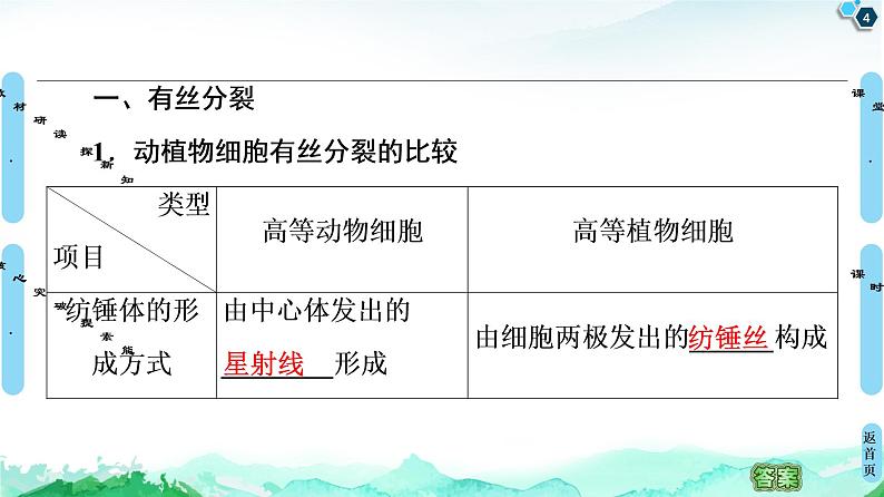 2021-2022学年苏教版（2019）高中生物 必修1 第4章 第1节　细胞增殖课件+课时练04