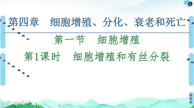 2021-2022学年苏教版（2019）高中生物 必修1 第4章 第1节　细胞增殖课件+课时练01