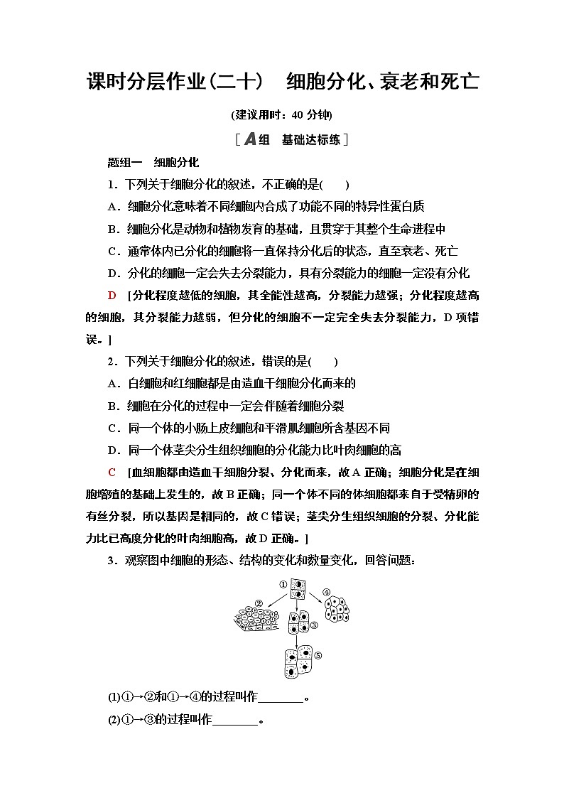 2021-2022学年苏教版（2019）高中生物 必修1 第4章 第2节　细胞分化、衰老和死亡课件+课时练01