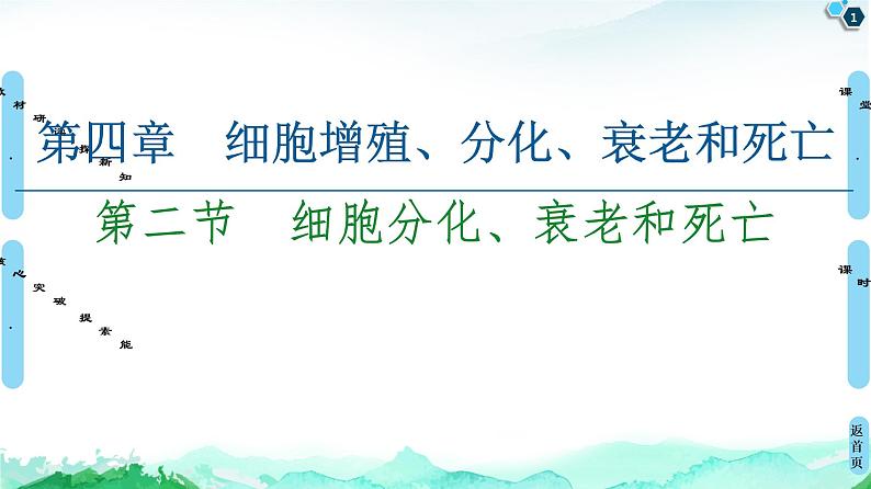 2021-2022学年苏教版（2019）高中生物 必修1 第4章 第2节　细胞分化、衰老和死亡课件+课时练01