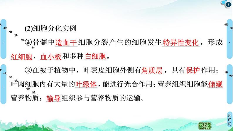 2021-2022学年苏教版（2019）高中生物 必修1 第4章 第2节　细胞分化、衰老和死亡课件+课时练05