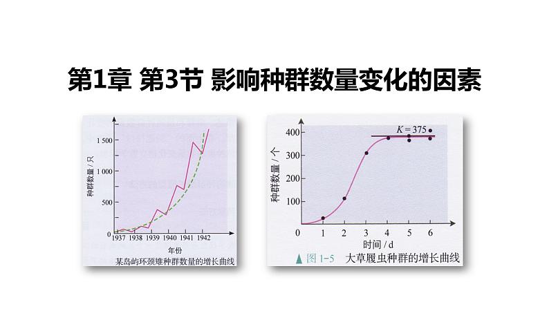 1.3影响种群数量变化的因素 【新教材】2021-2022学年人教版（2019）高二生物选择性必修二课件+教案+学案+同步练习01