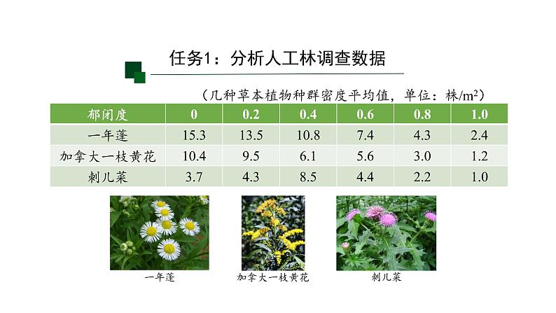 1.3影响种群数量变化的因素 【新教材】2021-2022学年人教版（2019）高二生物选择性必修二课件+教案+学案+同步练习04