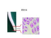 2.3群落的演替【新教材】2021-2022學(xué)年人教版（2019）高二生物選擇性必修二課件+教案+學(xué)案+同步練習