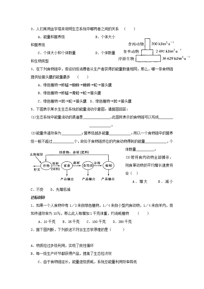 3.2生态系统的能量流动 【新教材】2021-2022学年人教版（2019）高二生物选择性必修二课件+教案+学案+同步练习03