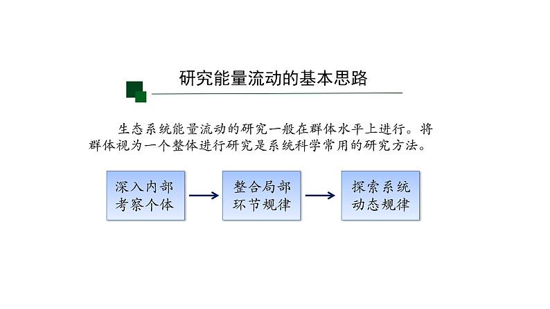 3.2生态系统的能量流动 【新教材】2021-2022学年人教版（2019）高二生物选择性必修二课件+教案+学案+同步练习03