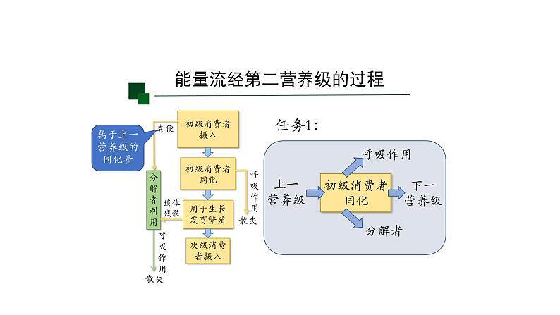 3.2生态系统的能量流动 【新教材】2021-2022学年人教版（2019）高二生物选择性必修二课件+教案+学案+同步练习06