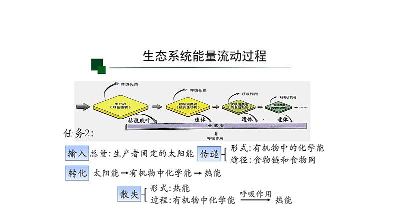 3.2生态系统的能量流动 【新教材】2021-2022学年人教版（2019）高二生物选择性必修二课件+教案+学案+同步练习07