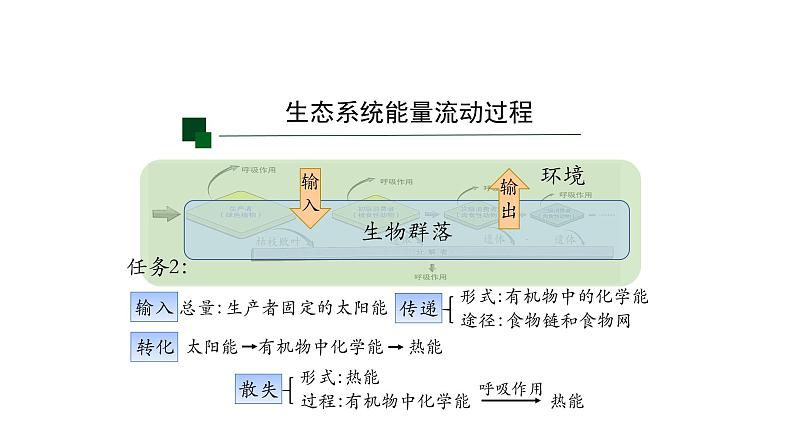 3.2生态系统的能量流动 【新教材】2021-2022学年人教版（2019）高二生物选择性必修二课件+教案+学案+同步练习08