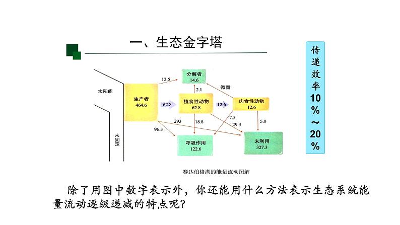 3.2生态系统的能量流动 【新教材】2021-2022学年人教版（2019）高二生物选择性必修二课件+教案+学案+同步练习04