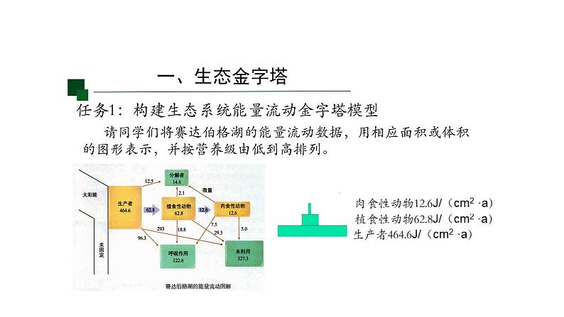 3.2生态系统的能量流动 【新教材】2021-2022学年人教版（2019）高二生物选择性必修二课件+教案+学案+同步练习05