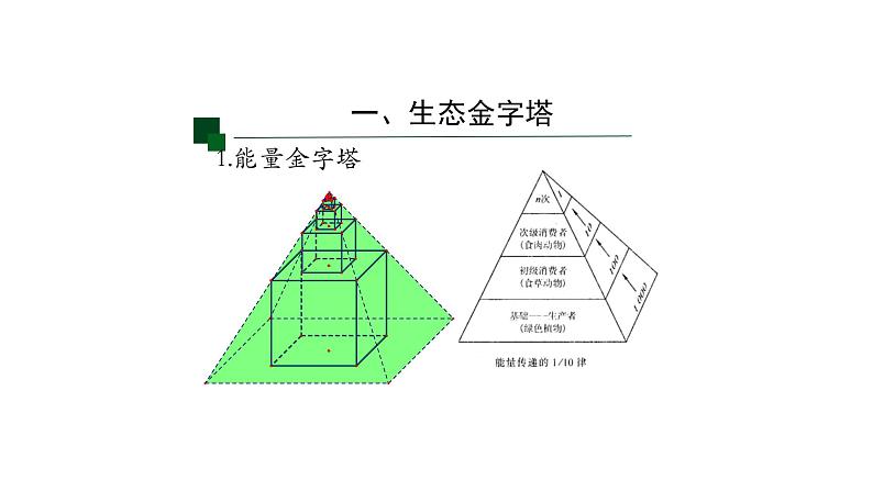 3.2生态系统的能量流动 【新教材】2021-2022学年人教版（2019）高二生物选择性必修二课件+教案+学案+同步练习06