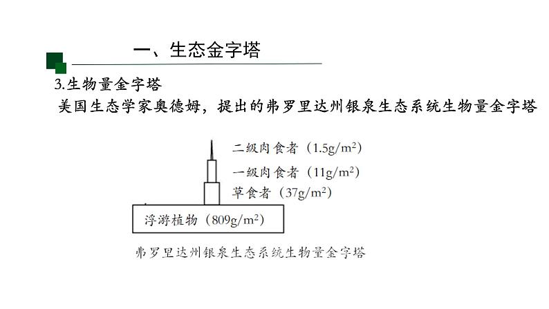 3.2生态系统的能量流动 【新教材】2021-2022学年人教版（2019）高二生物选择性必修二课件+教案+学案+同步练习08