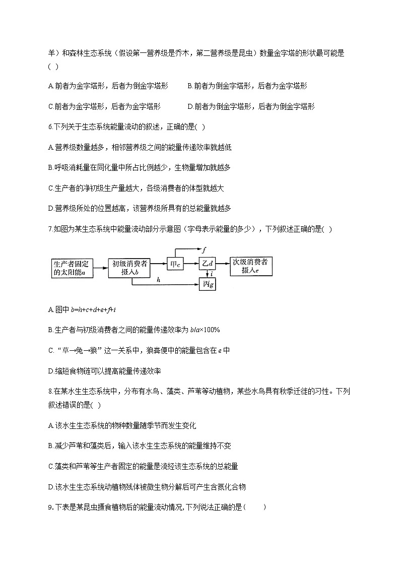 3.2生态系统的能量流动 【新教材】2021-2022学年人教版（2019）高二生物选择性必修二课件+教案+学案+同步练习02