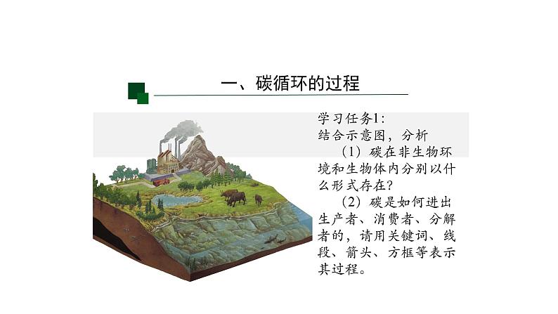 3.3生态系统的物质循环（第一课时）课件【新教材】人教版（2019）高中生物选择性必修二 第3页