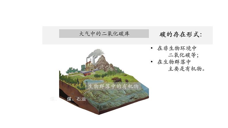 3.3生态系统的物质循环（第一课时）课件【新教材】人教版（2019）高中生物选择性必修二 第4页