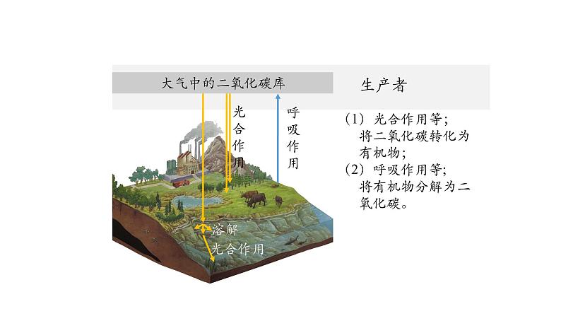 3.3生态系统的物质循环（第一课时）课件【新教材】人教版（2019）高中生物选择性必修二 第5页